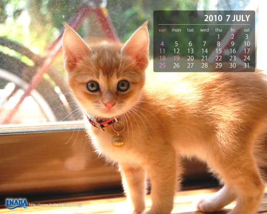 403041 (a): :1280x1024